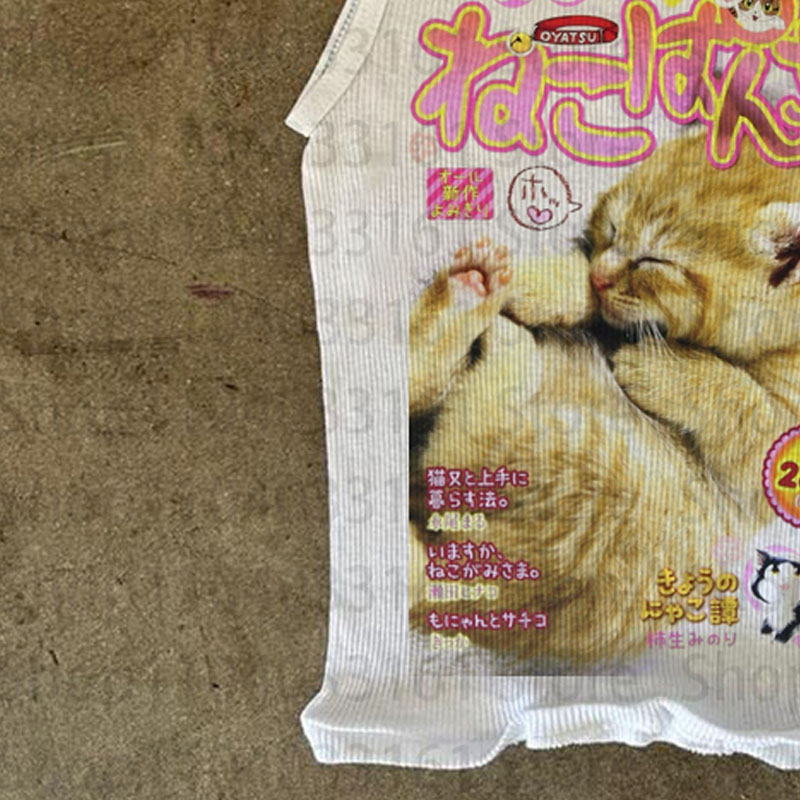 Kawaii Cat Japanese Magazine S - Japanese Lifestyle Magazines บทวิจารณ์และราคา