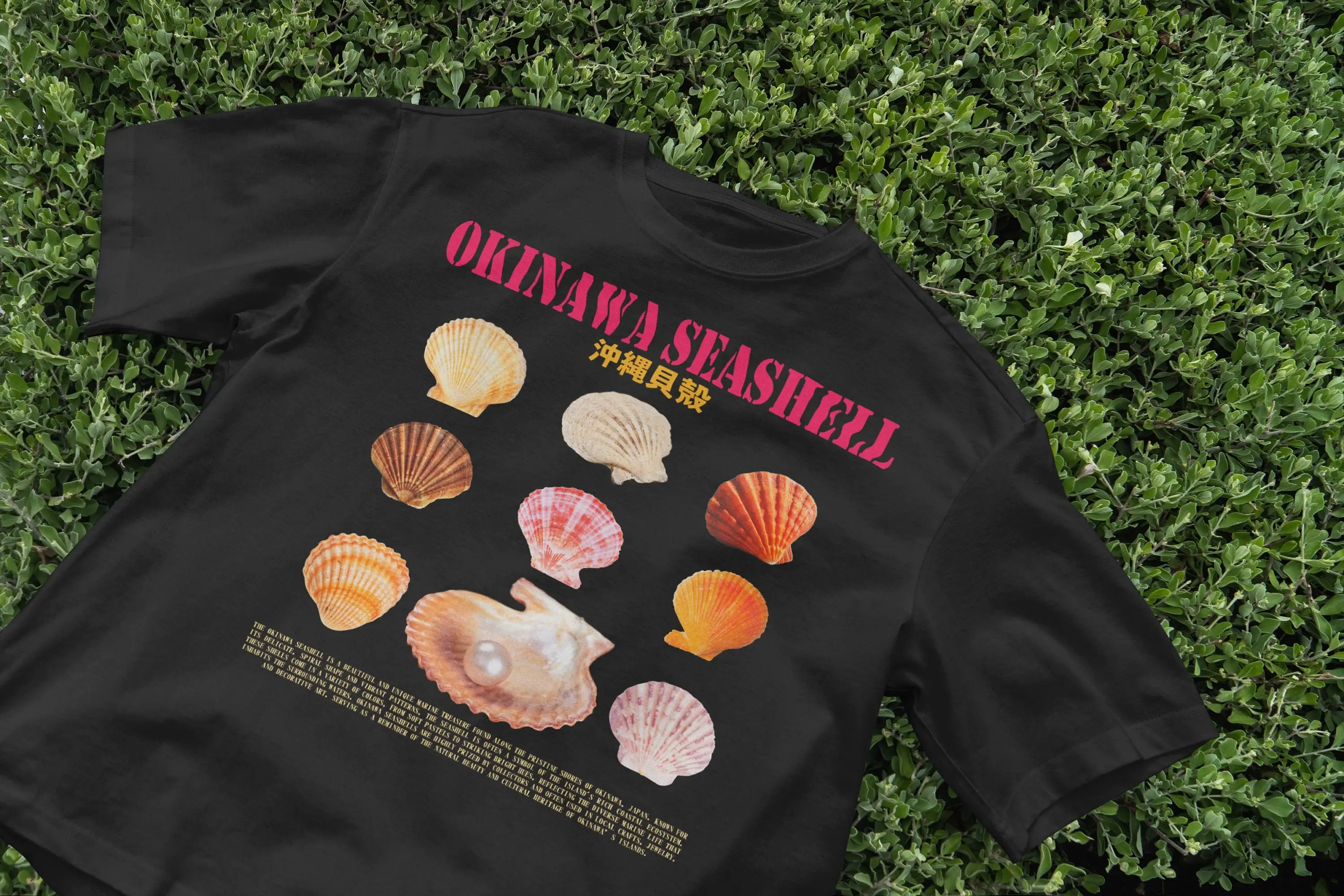 Okinawa Seashell T Shirt Ocean - Japanese Man Lifestyle บทวิจารณ์และราคา